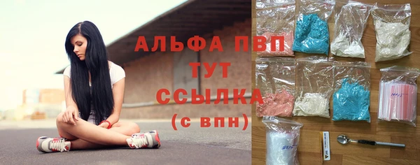 винт Вяземский