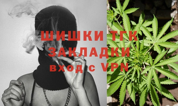 винт Вяземский