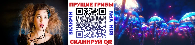 Купить  Нея  Галлюциногенные грибы Psilocybine cubensis 